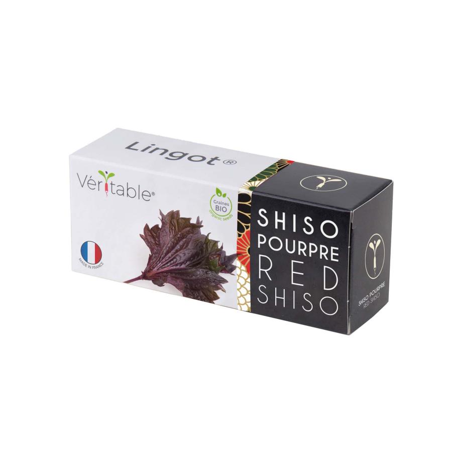 Grow Your Own | Asian Lingot Insert, Organic Red Shiso Grow Your Own Grow Your Own